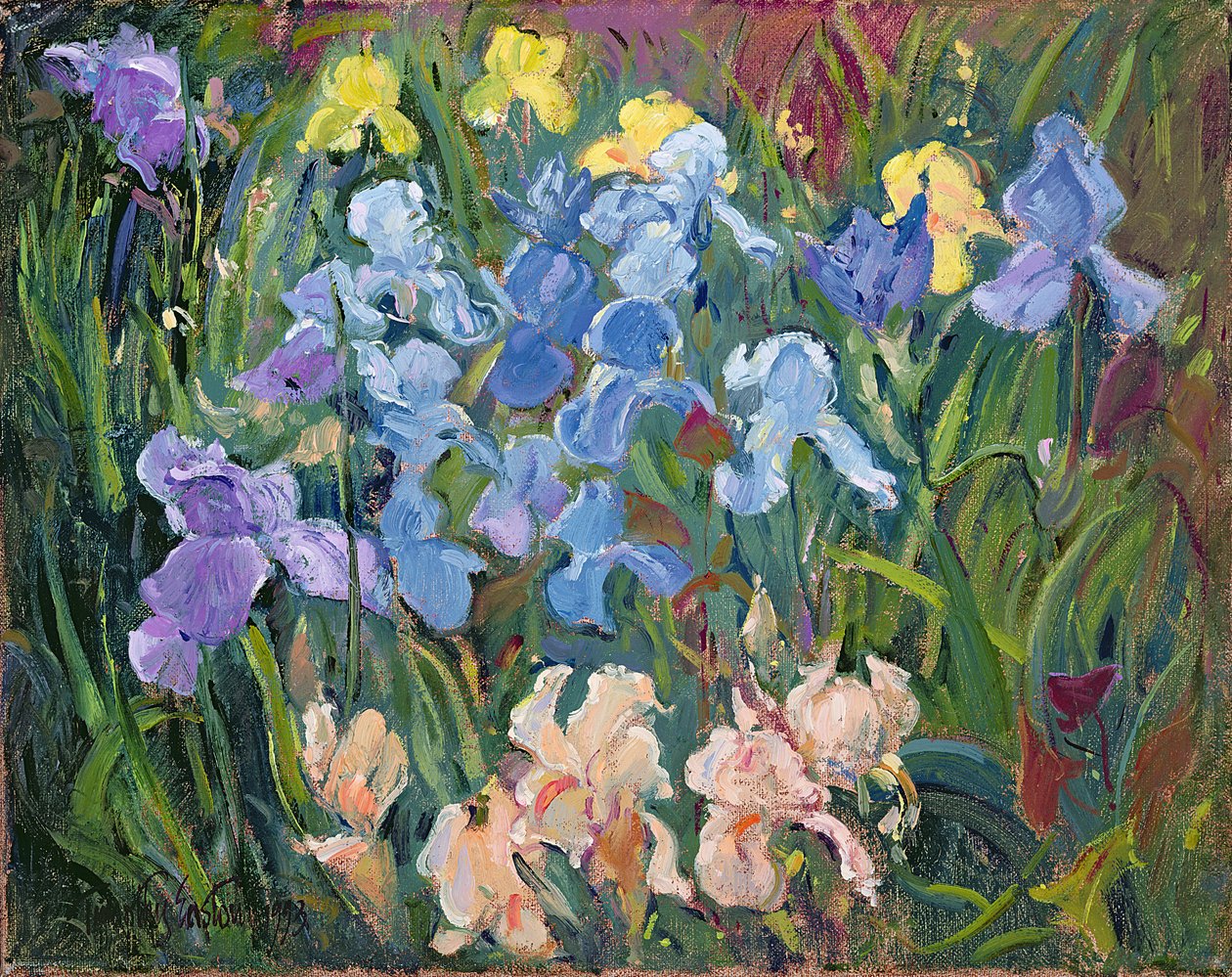 Iris: Pink, blå og guld, 1993 af Timothy Easton