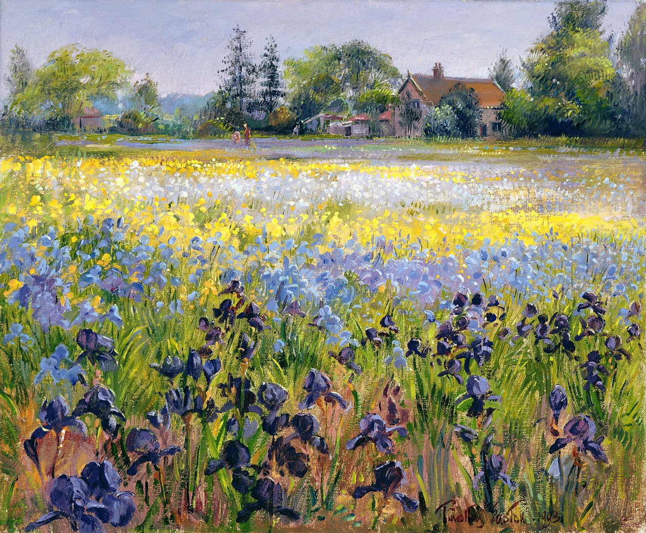 Iris og to grantræer, 1993 af Timothy Easton