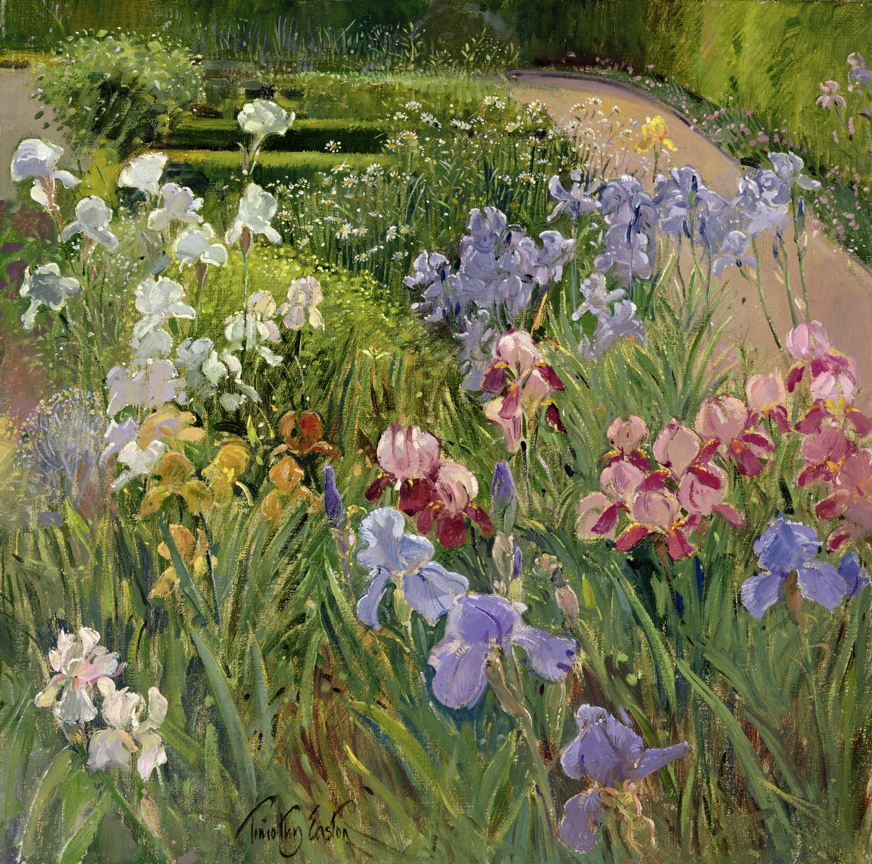 Iris ved Bedfield af Timothy Easton