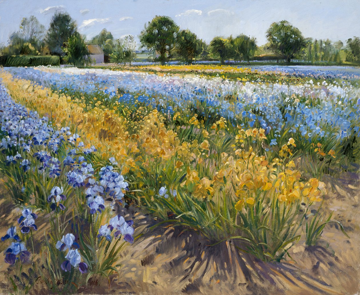 Iris ved Burgate, 1996 af Timothy Easton