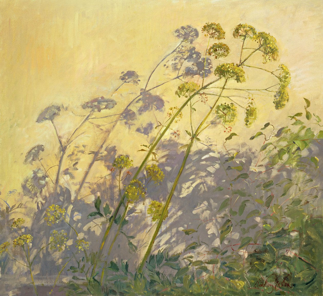 Lovage, Clematis and Shadows, 1999 af Timothy Easton