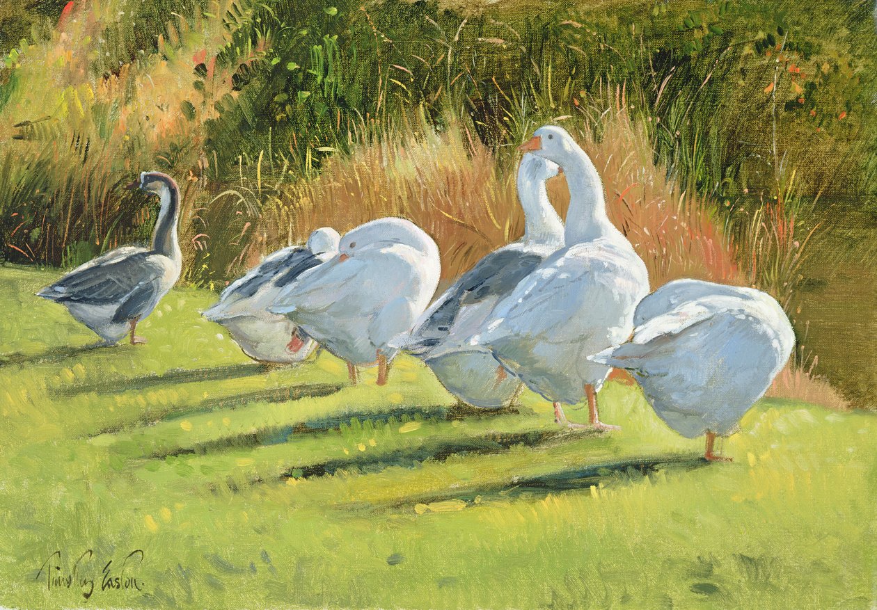 Moat Edge, Bedfield af Timothy Easton
