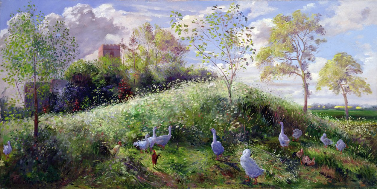 Monter i maj af Timothy Easton