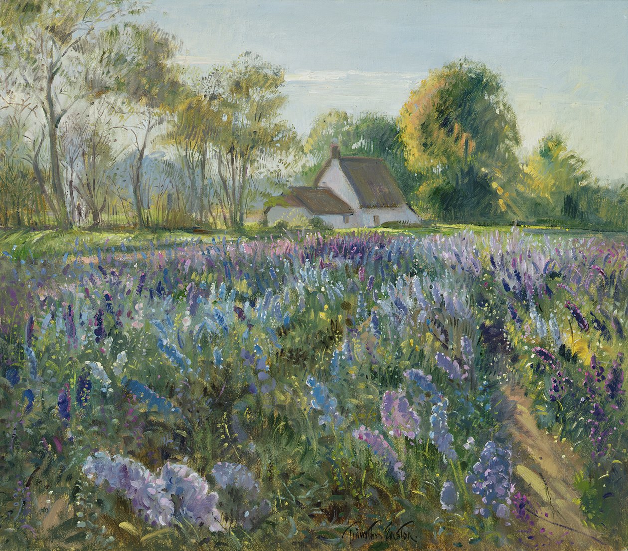 oktober Delphiniums af Timothy Easton