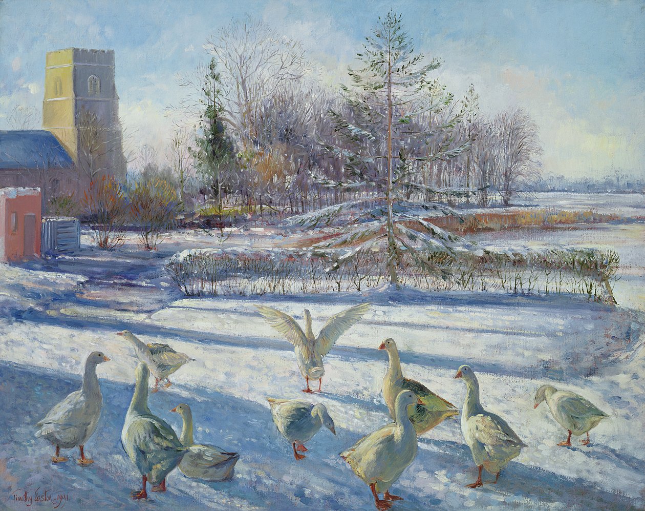 Snegæs, Vintermorgen af Timothy Easton