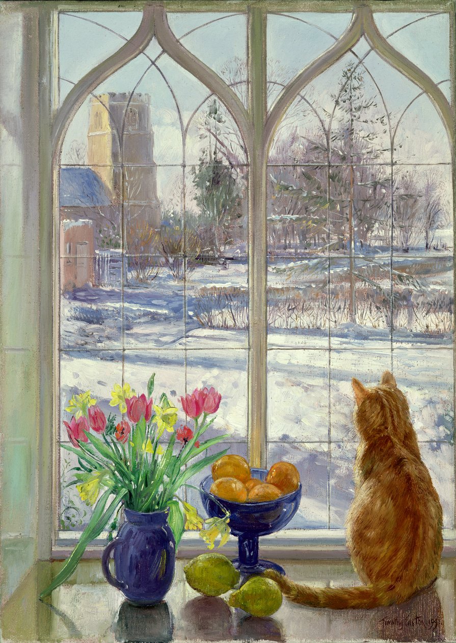 Sneskygger og kat af Timothy Easton