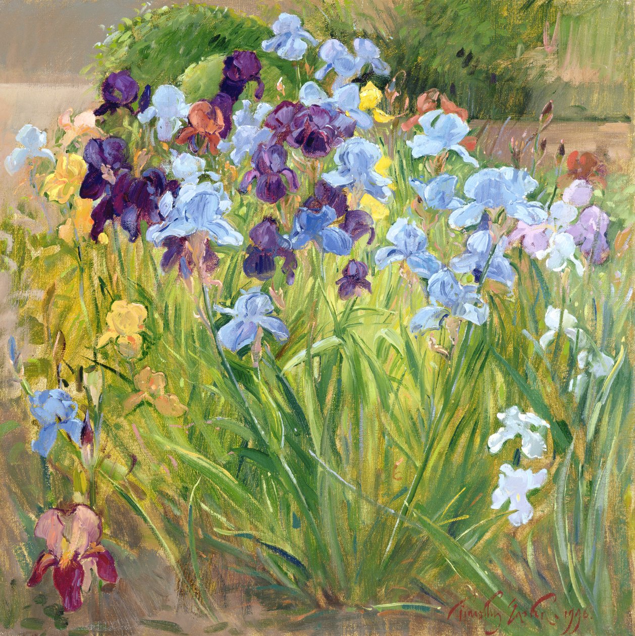 The Iris Bed, Bedfield, 1996 af Timothy Easton
