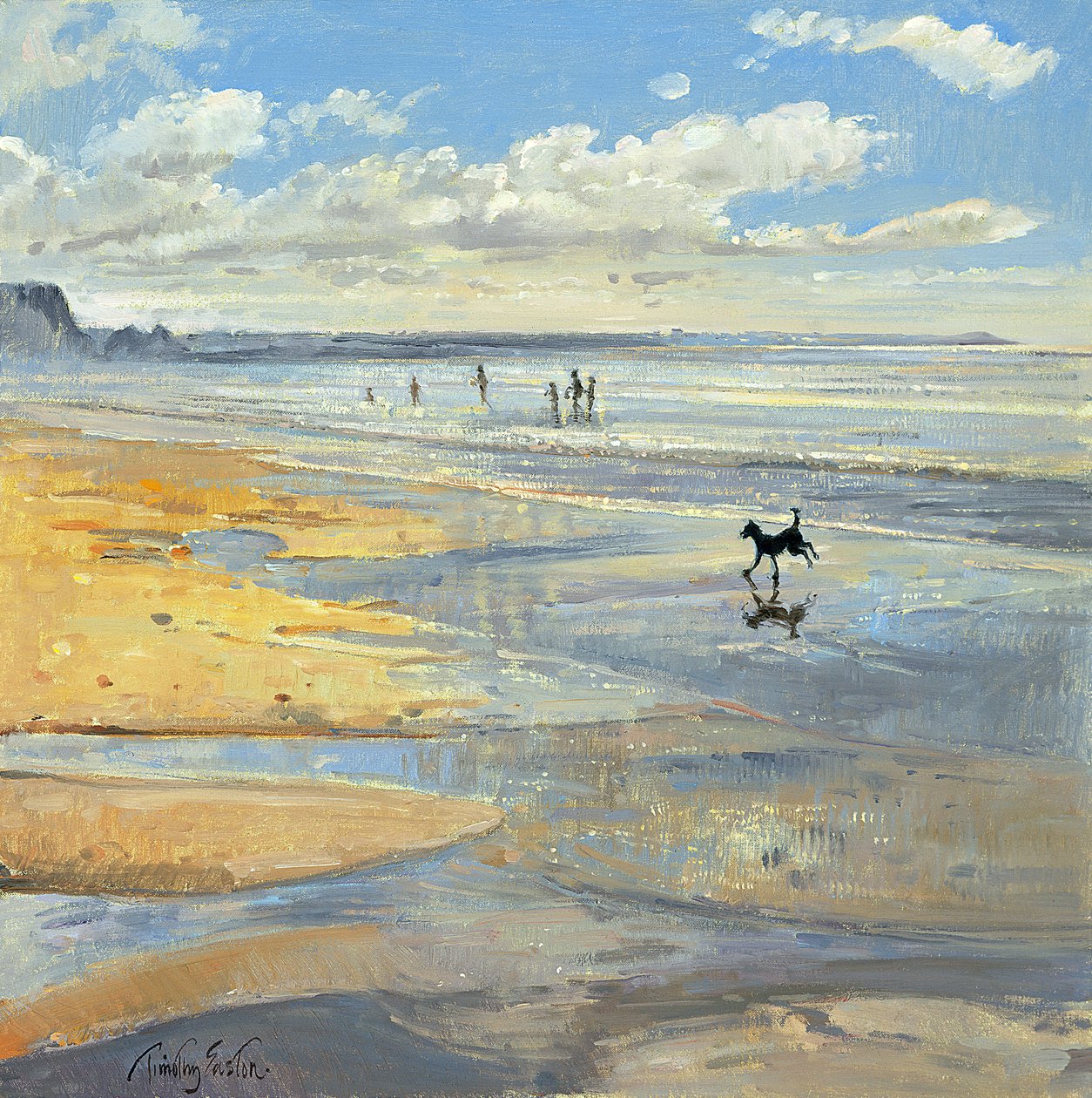 Den lille akrobat af Timothy Easton