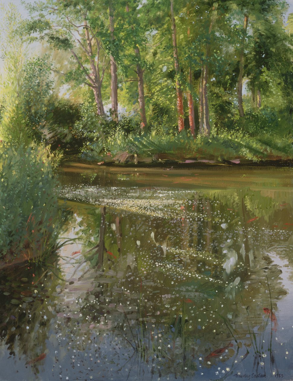 Vandblomster ved solopgang af Timothy Easton
