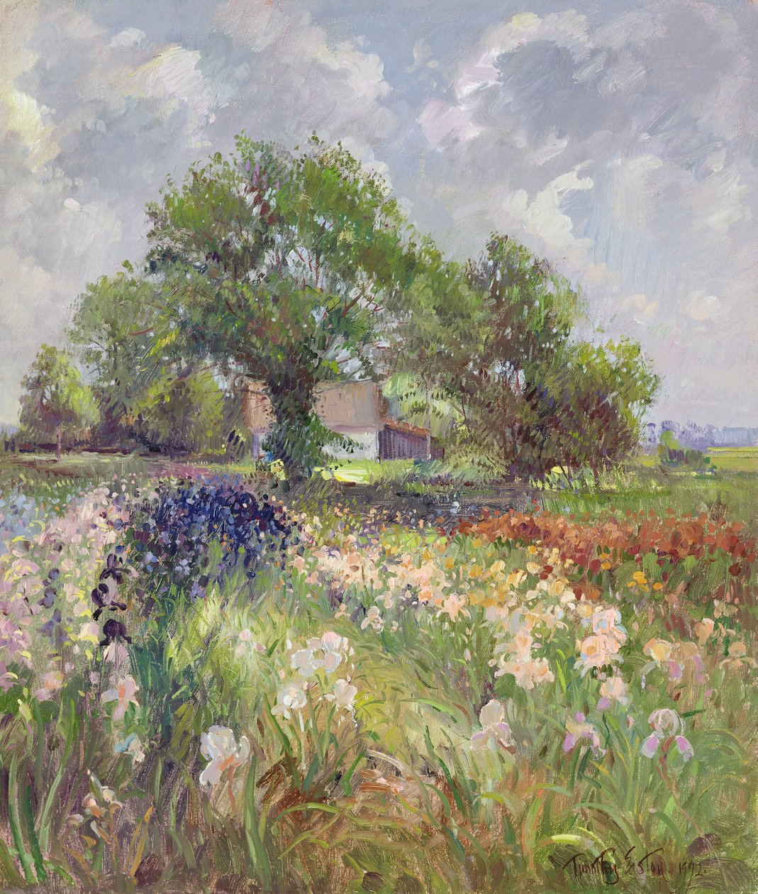 White Barn og Iris Field, 1992 af Timothy Easton