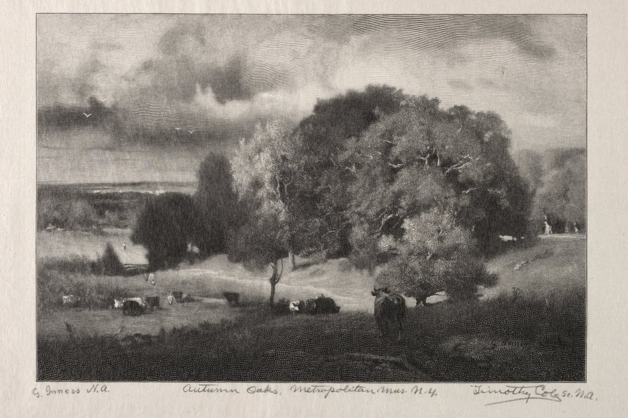 Autumn Oaks af Timothy Cole