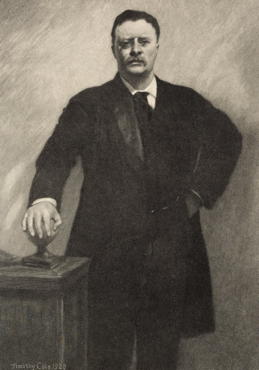 Theodore Roosevelt, 1928 af Timothy Cole