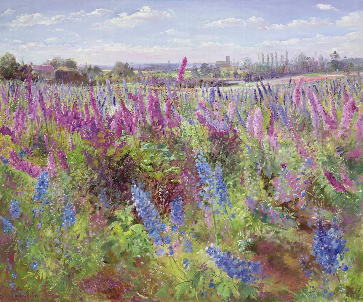Delphinium mark og kirke af Timothy Easton