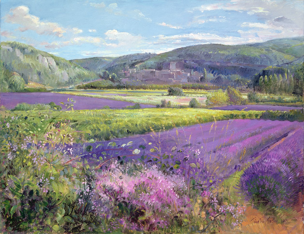 Lavendelmarker i det gamle Provence af Timothy Easton