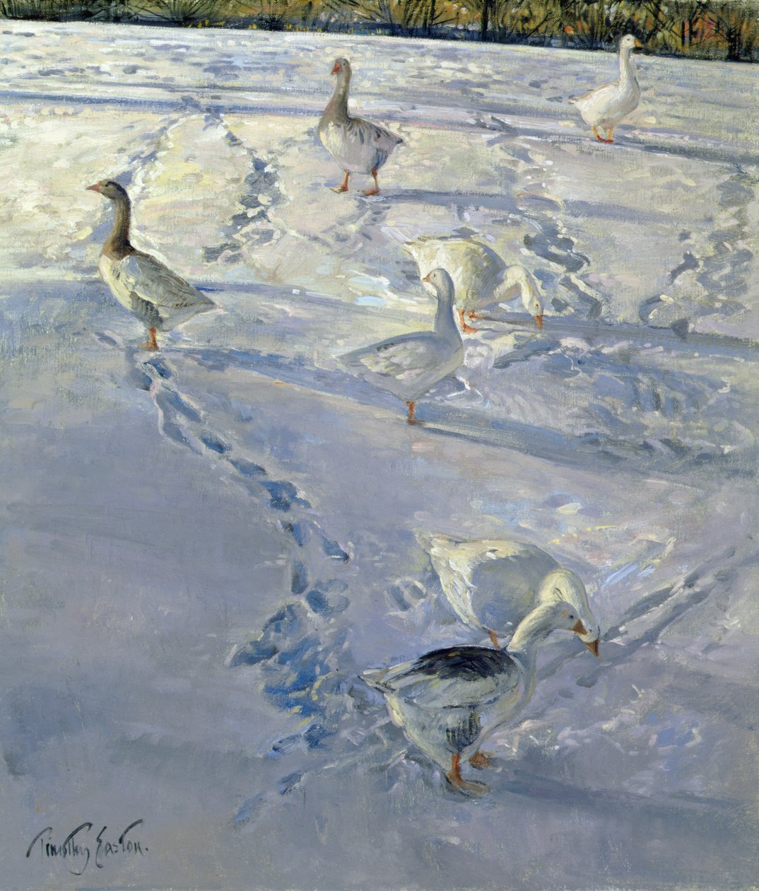 Shadows and Trackways (olie på lærred) af Timothy Easton