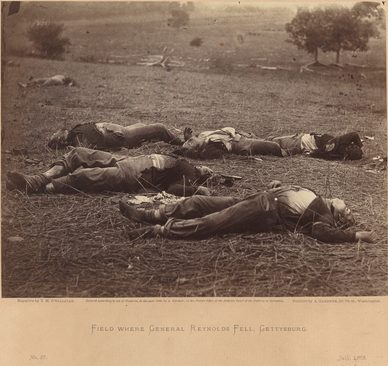 Mark hvor general Reynolds faldt, Gettysburg, 5. juli 1863 af Timothy H. O