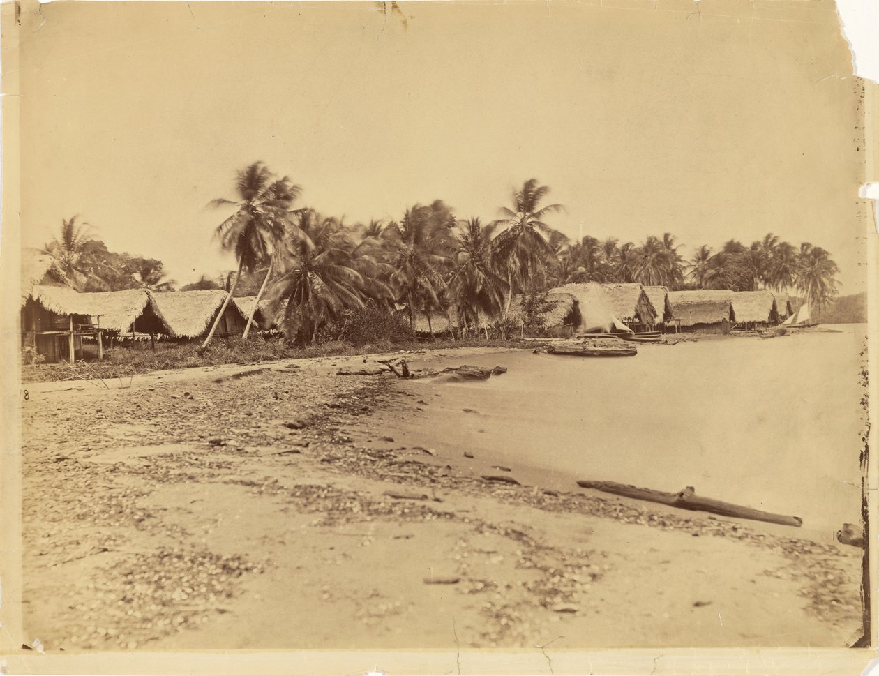[Hytter, palmer og strand, Itshumus i Darién (Panama)] af Timothy H. O