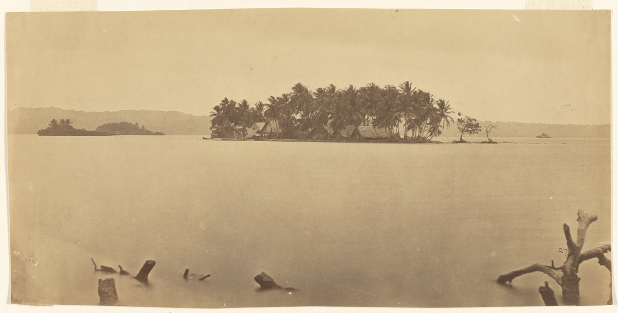 [Darién-landtangen (Panama)] af Timothy H. O