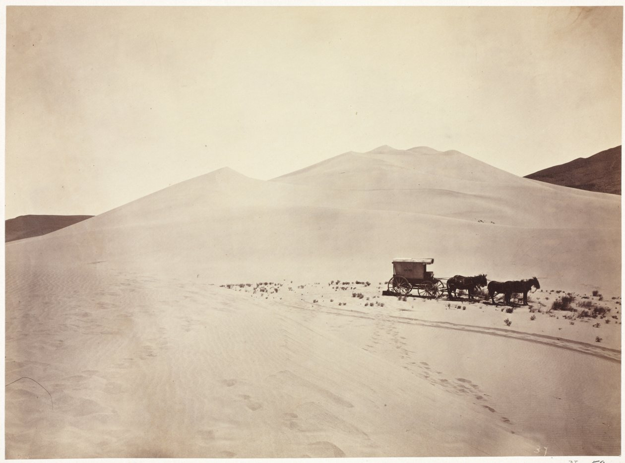 Sand Dunes, Carson Desert, Nevada af Timothy H. O