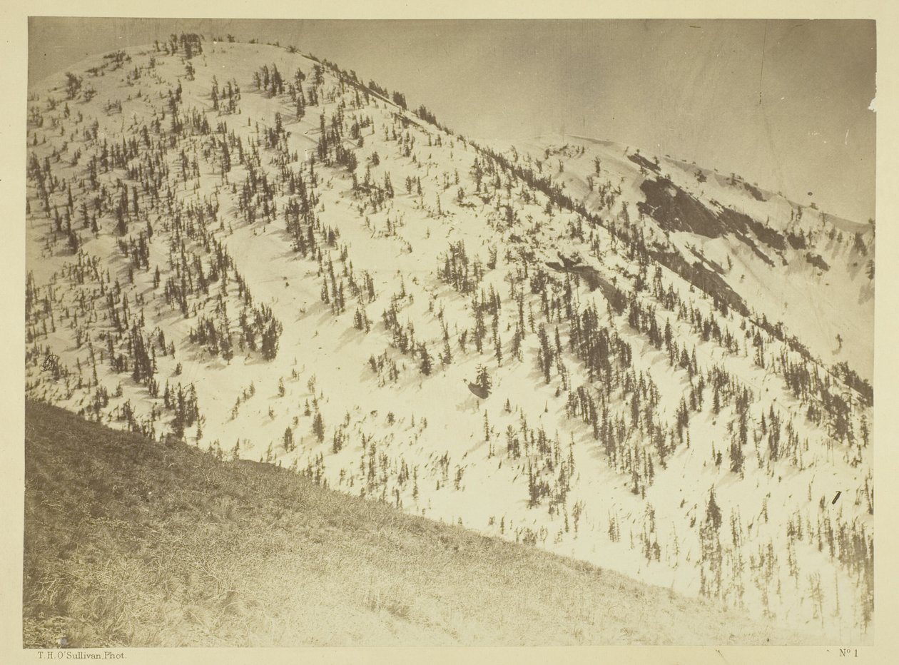 Snow Peaks, Bull Run minedistrikt, Nevada af Timothy O