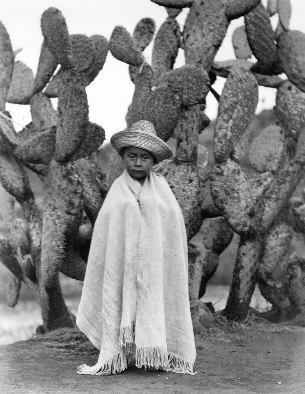 Dreng foran en kaktus, staten Veracruz, Mexico, 1927 (bw foto) af Tina Modotti