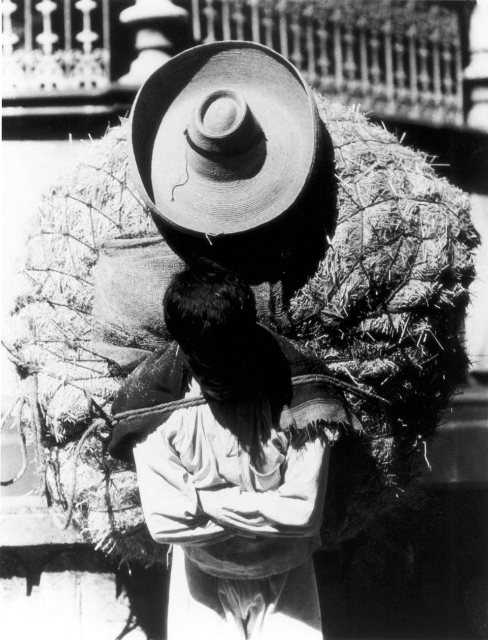 Campesino, staten Veracruz, Mexico, 1927 af Tina Modotti