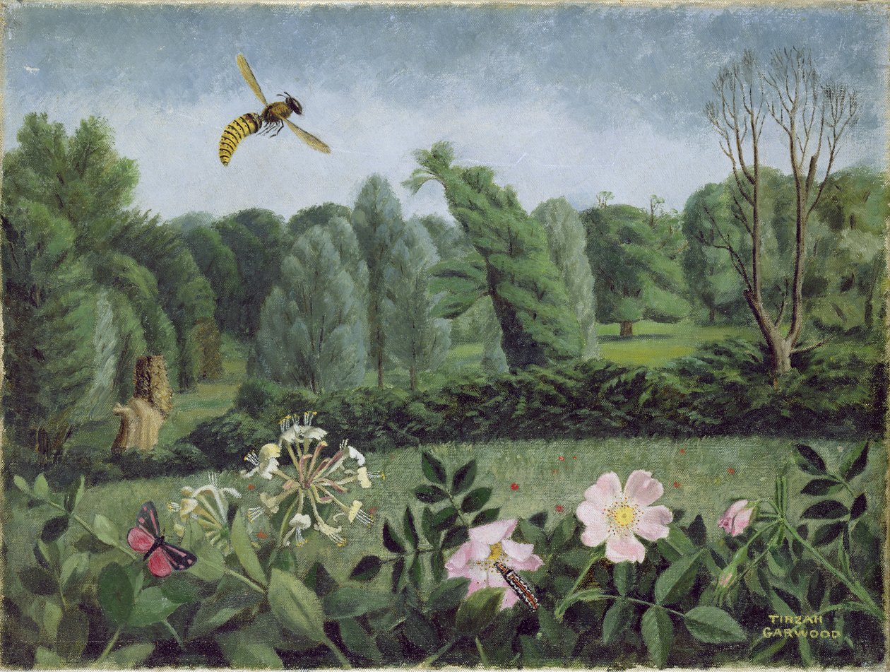 Hornet og vild rose af Tirzah Ravilious