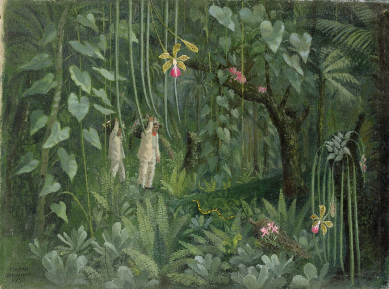Orkidéjægere fra Brasilien af Tirzah Ravilious
