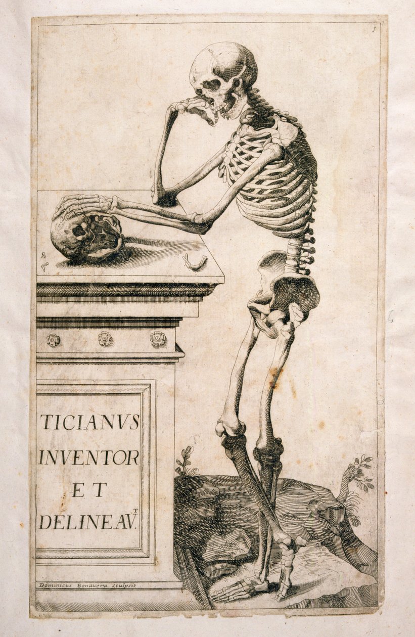 Anatomisk undersøgelse af Domenico Maria Bonavera (f.1640) (ætsning og tørnål) af Tiziano Vecelli