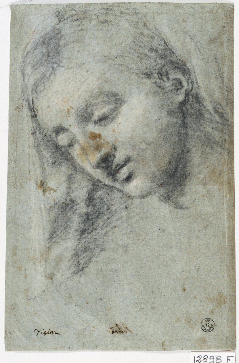 Hoved af en kvinde (kul på papir) af Titian (c.1488 1576)