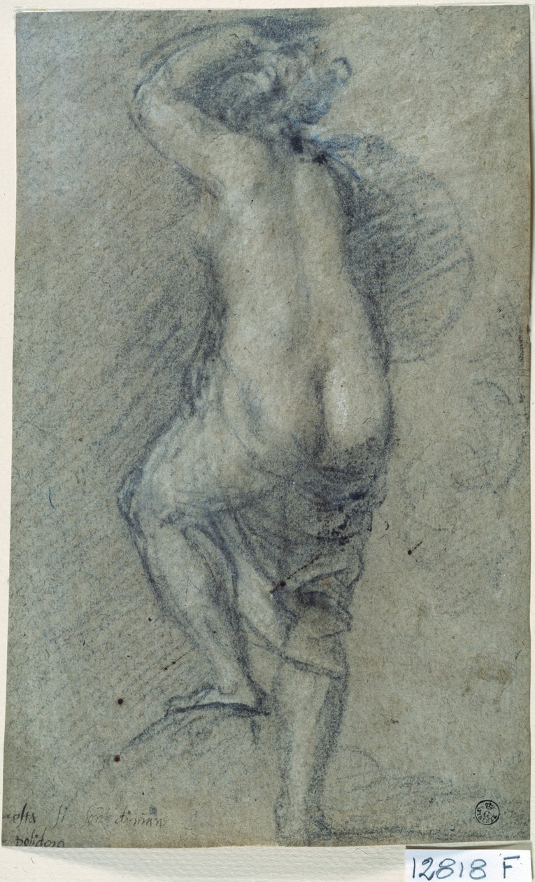 Nøgen kvinde (kridt på papir) af Titian (c.1488 1576)