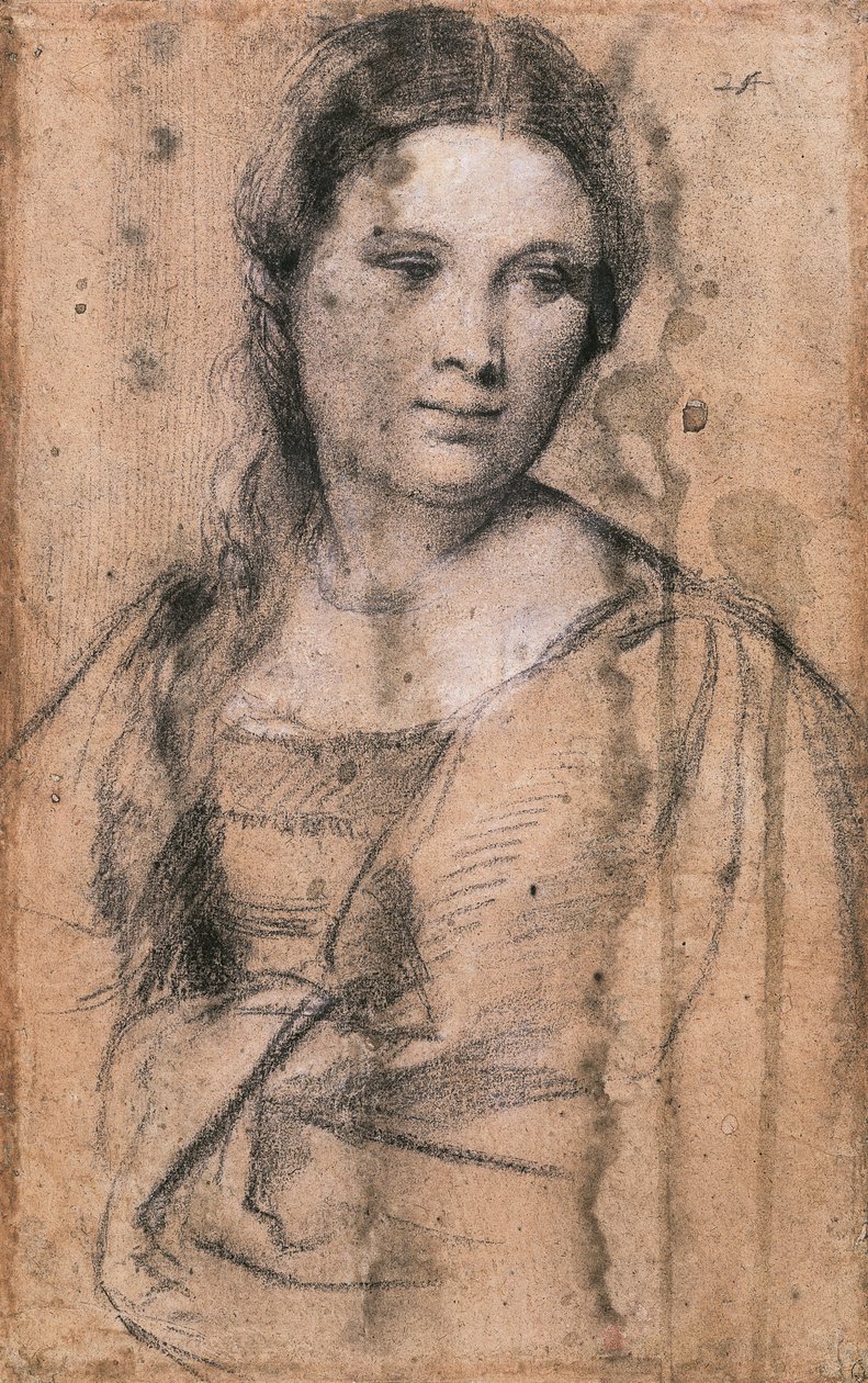 Portræt af ung pige af Titian (ca 1490-1576), tegning af Titian (c.1488 1576)