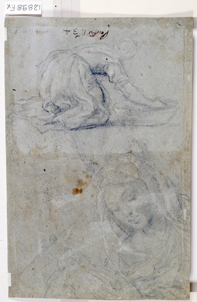 Studier af Jomfruen (kul på papir) af Titian (c.1488 1576)