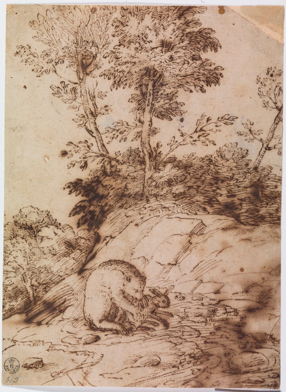 En bjørn, der spiser en kanin (pen og blæk på papir) af Titian (c.1488 1576)