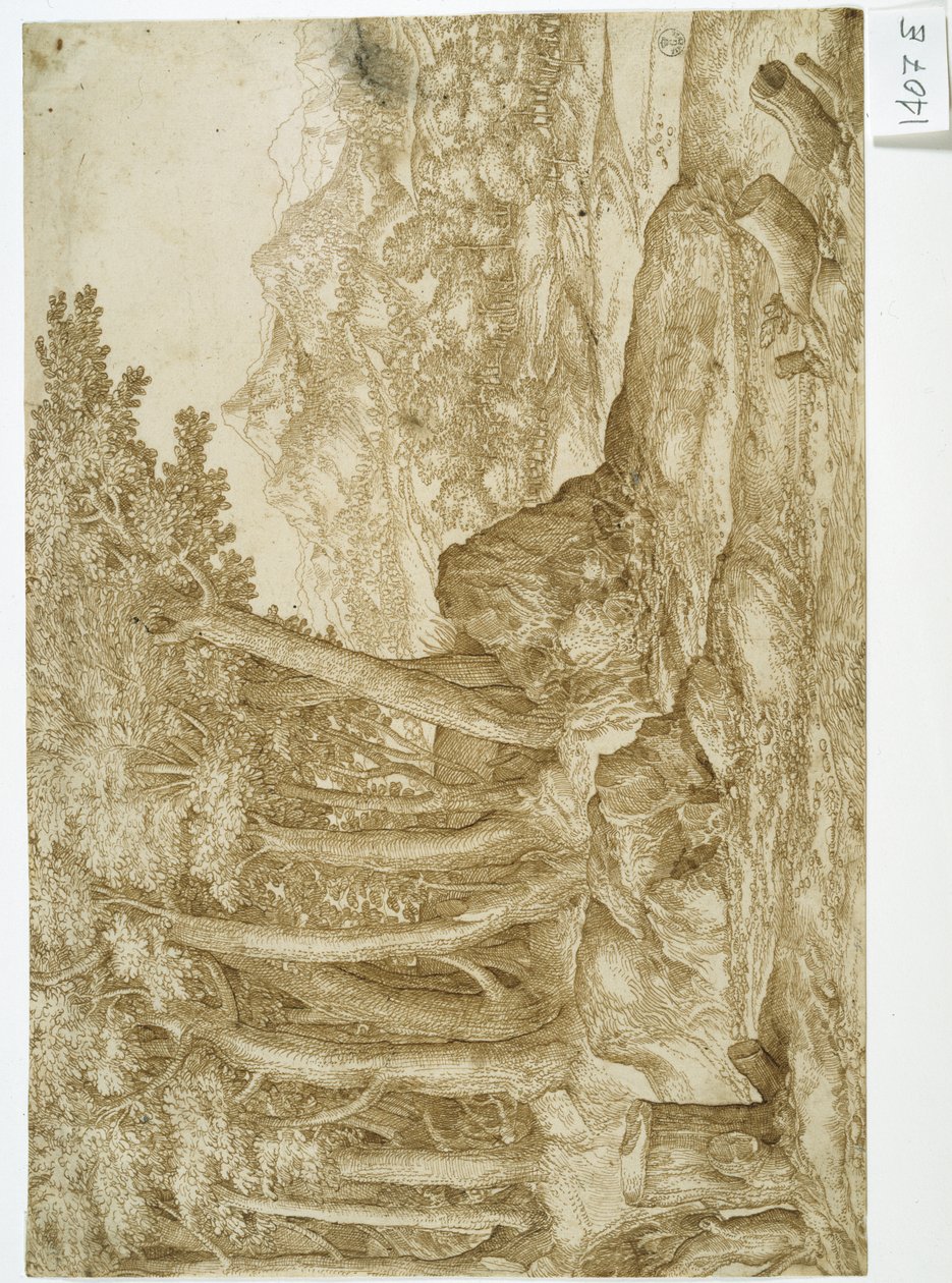 Landskab (pen og blæk på papir) af Titian (c.1488 1576)