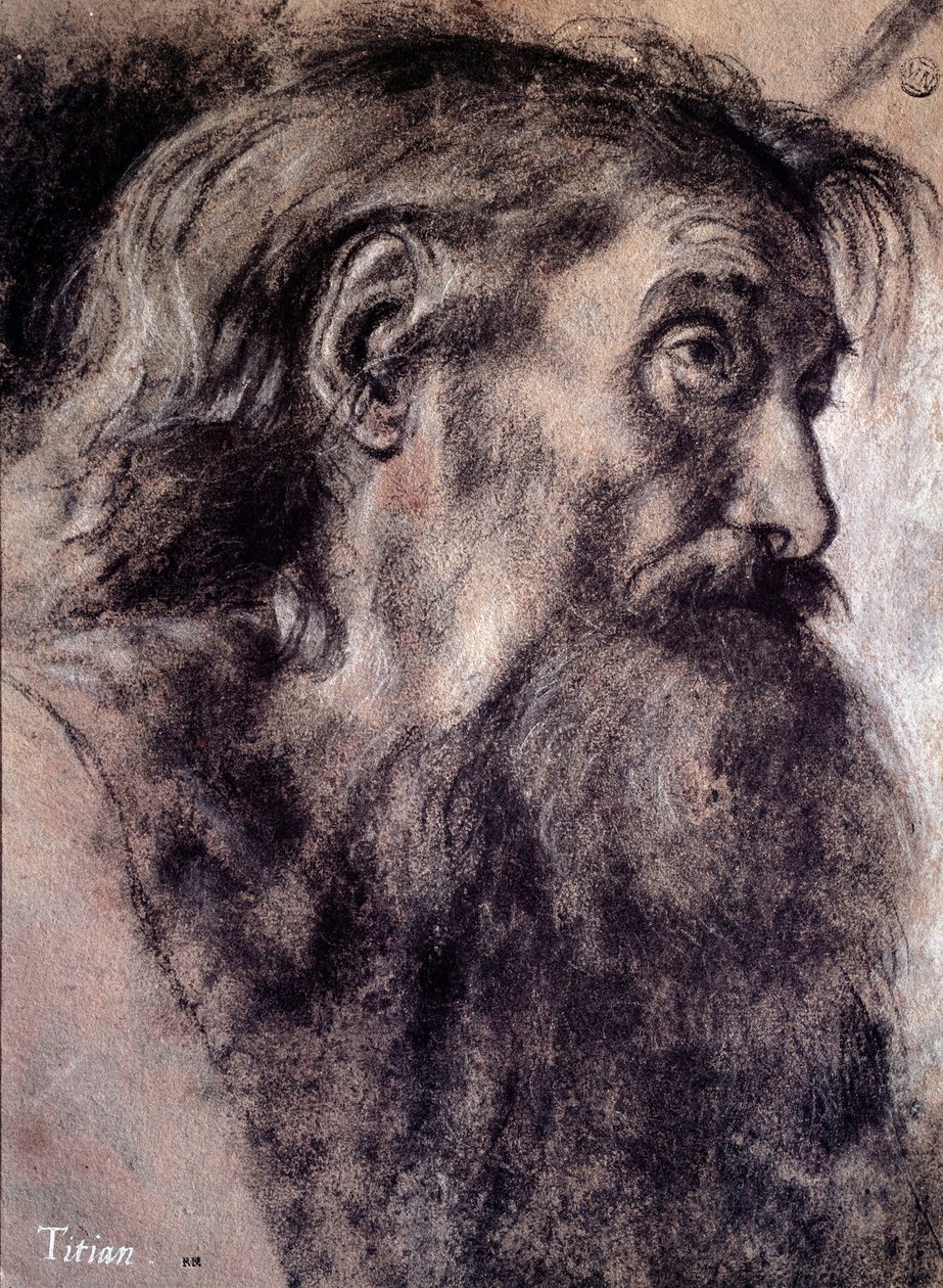 Gammel mands hoved Tegning af Tiziano Vecellio kaldet Titian (1485-1576) 1500-tallet Paris, Louvre-museet af Titian (c.1488 1576)