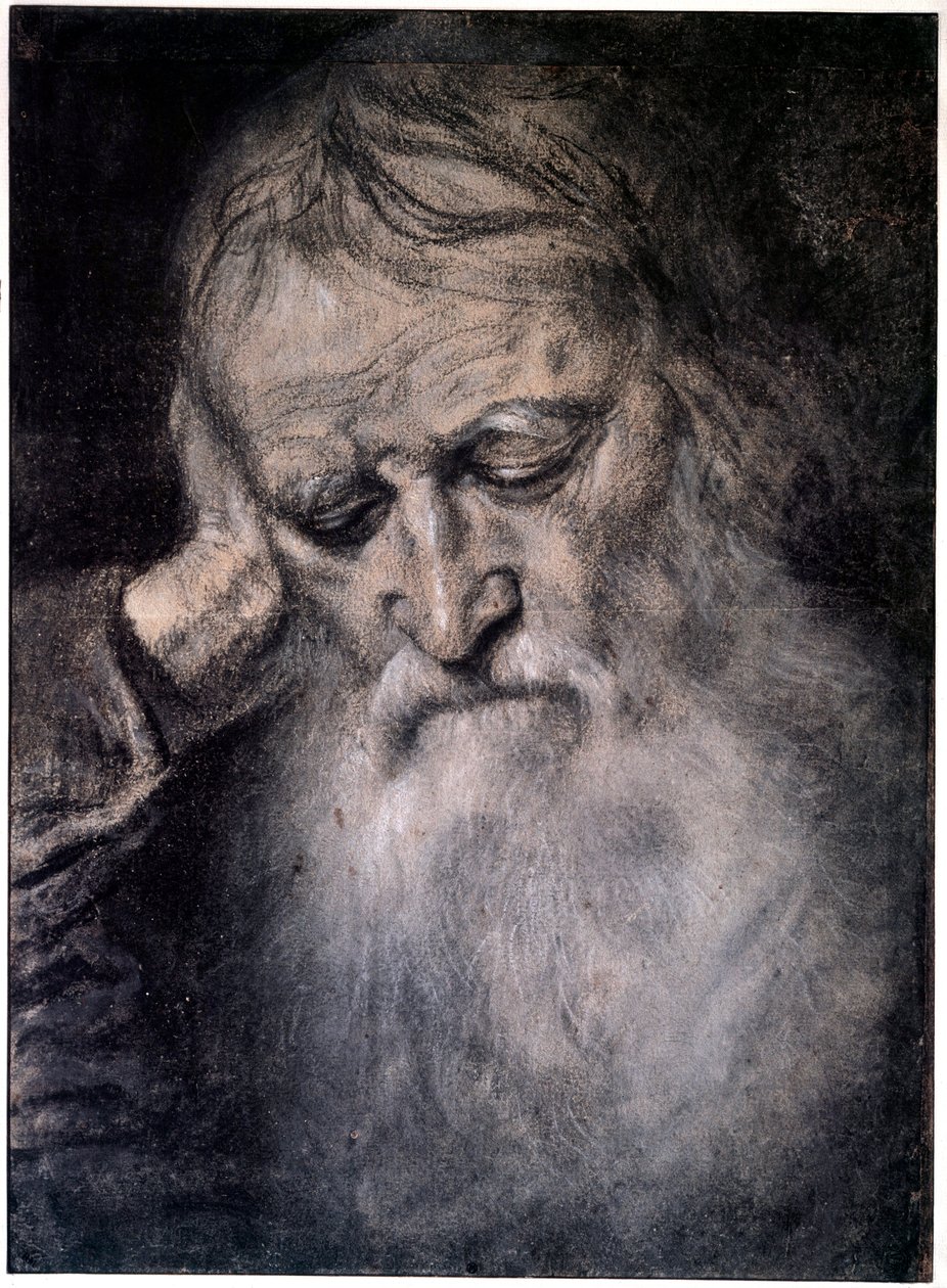 Gammel mands hoved Tegning af Tiziano Vecellio kaldet Titian (1485-1576) 1500-tallet Paris, Louvre-museet af Tiziano Vecelli