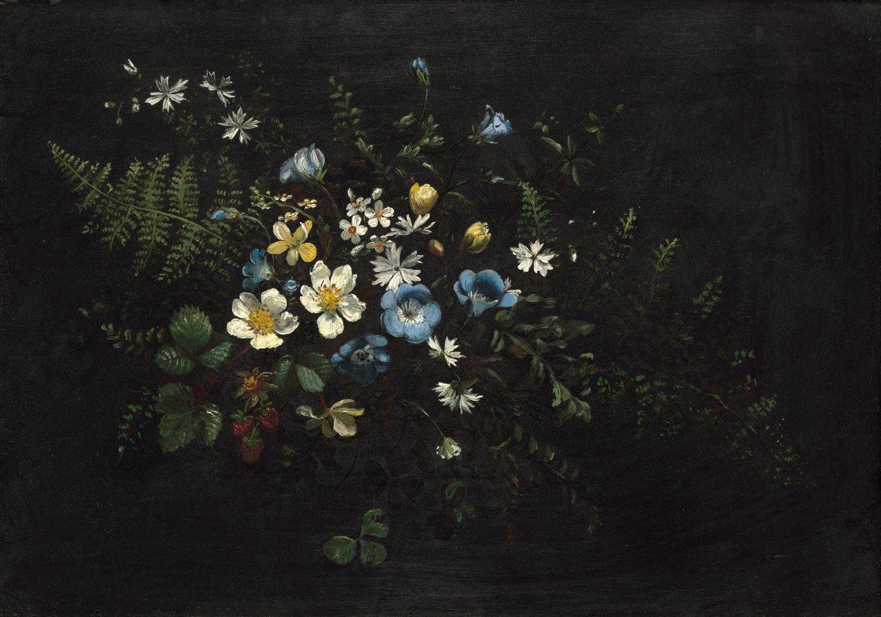 Sprøjt af blomster og bregner, dato ukendt. af Titian Ramsay Peale