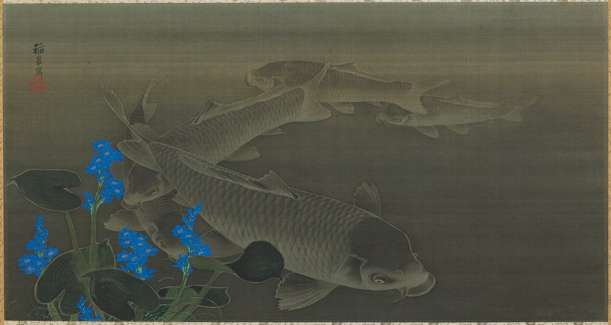 Karpe, Edo-perioden (blæk og farve på silke) af Toko Kuroda