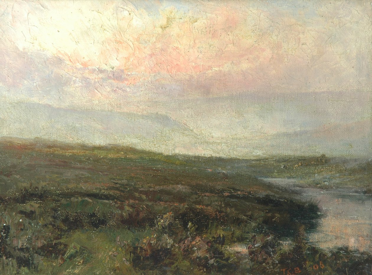Moorland Scene af Tom Clifton Butterfield