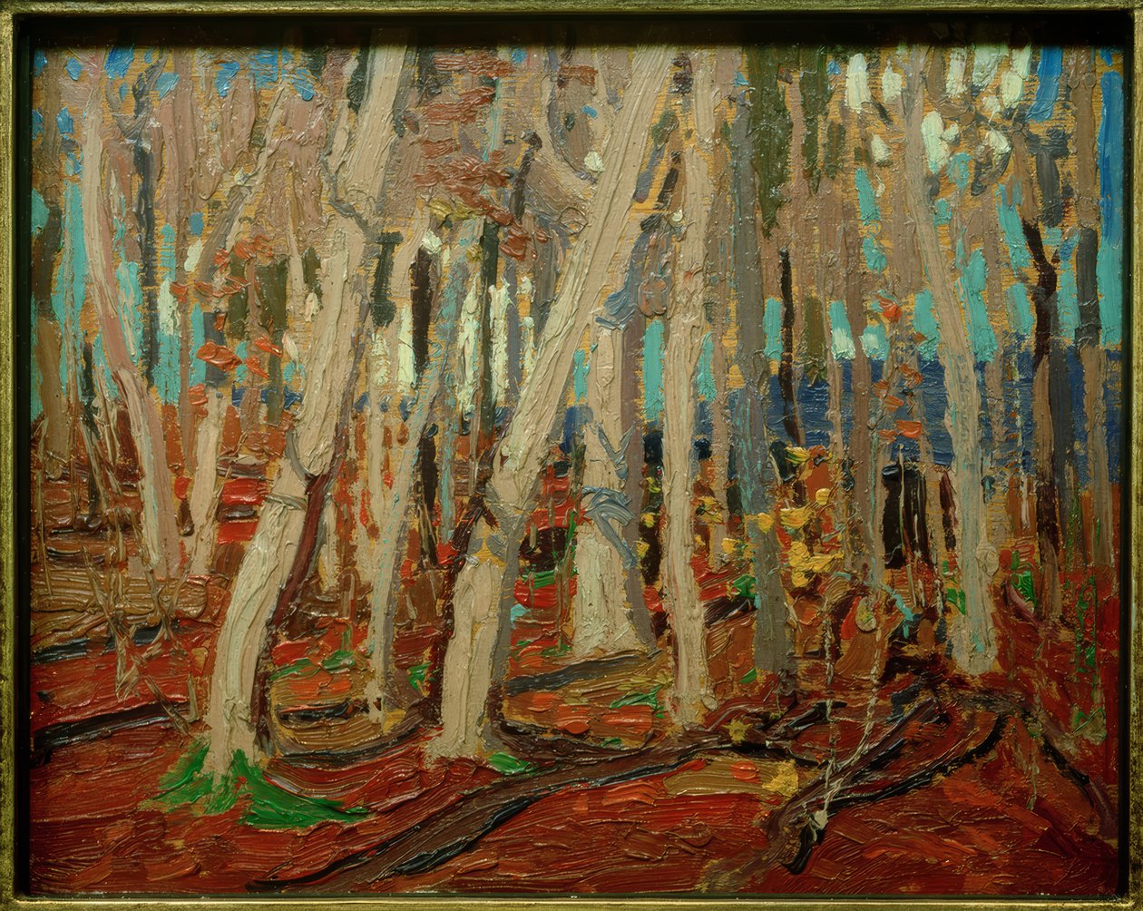Maple Woods, bare stammer, 1915 af Tom Thomson
