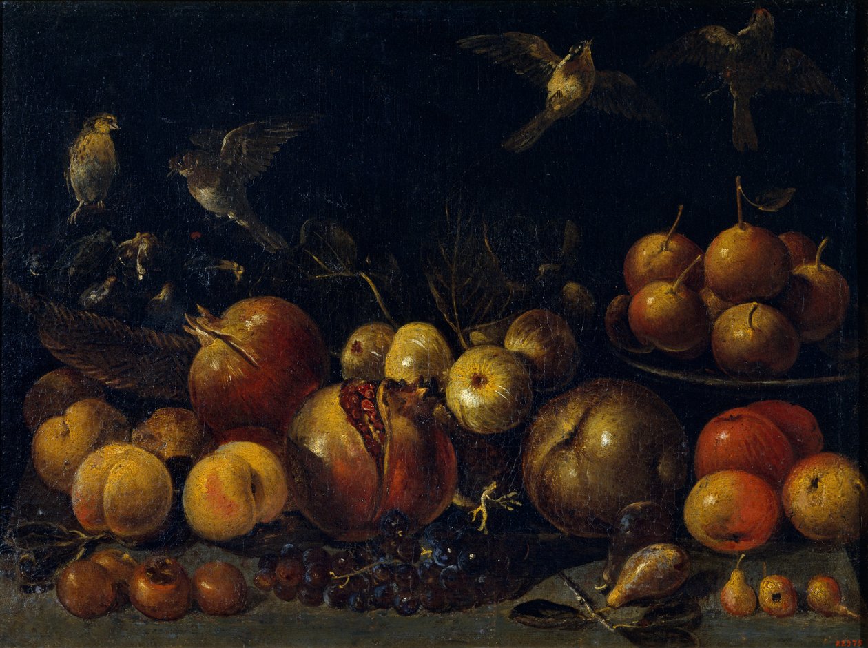 Stilleben med granatæbler, æbler, pærer, druer, figner og fugle af Tommaso Realfonso