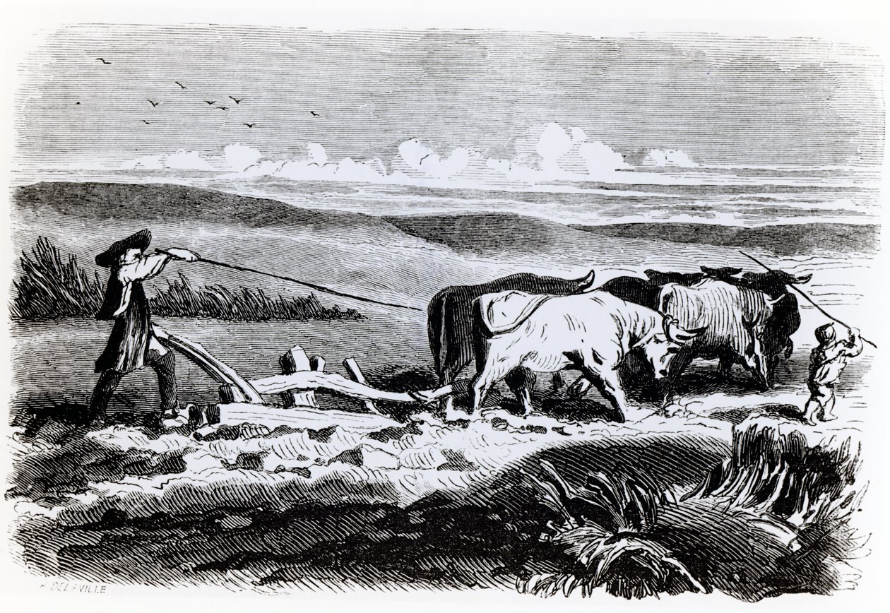 Illustration fra 
