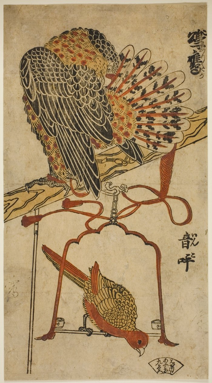 Sparrowhawk and Macaw (Sparrowhawk and Macaw) af Torii Kiyomasu I