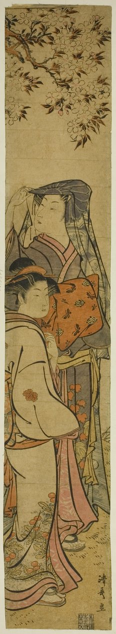 To kvinder, der ser kirsebærblomster af Torii Kiyonaga