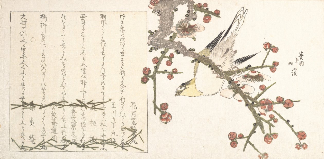 Bush Warbler on a Plum Branch Ume ni uguisu, begyndelsen af det 19. århundrede. af Totoya Hokkei