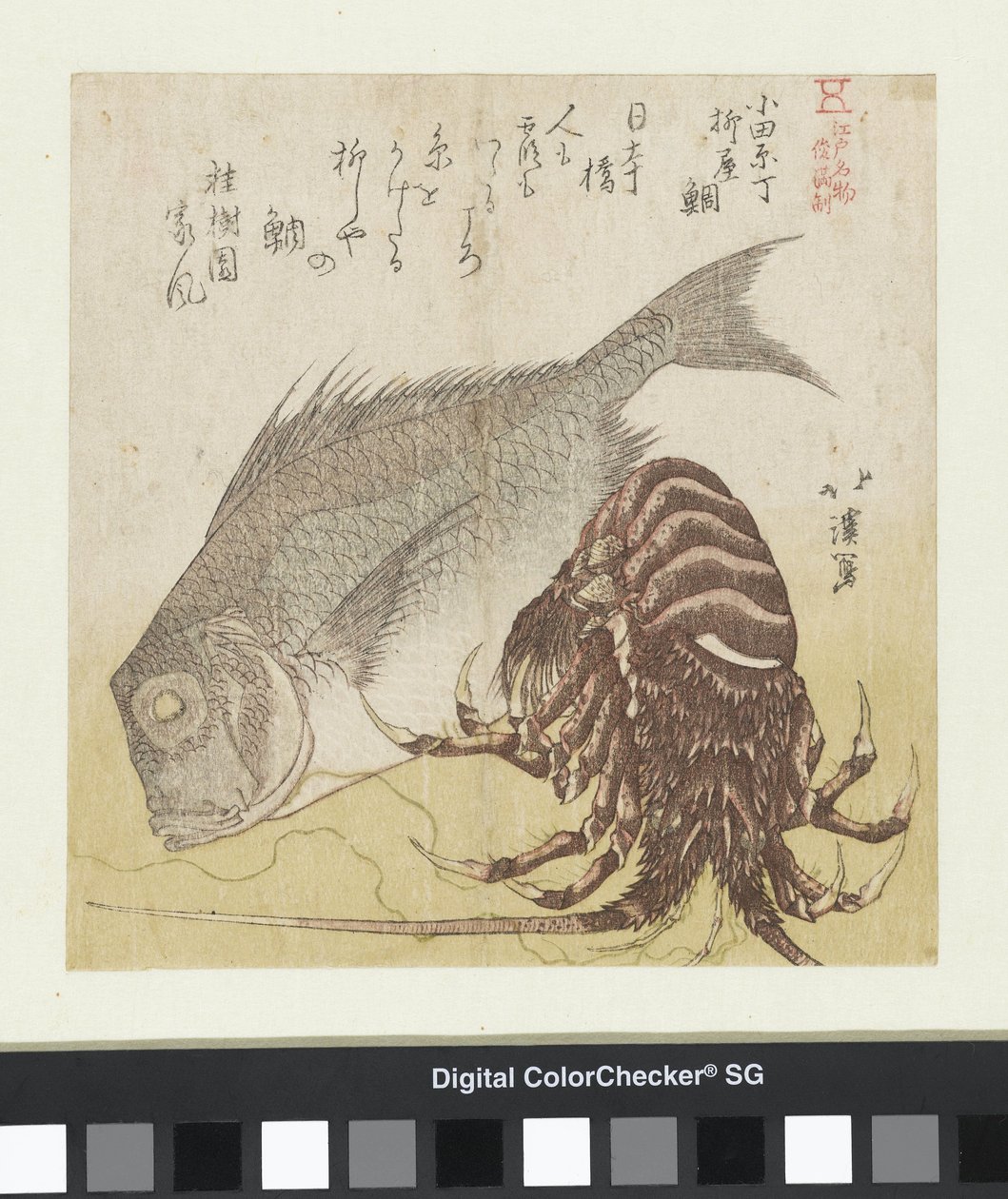Havbarsen i Yanagiya i Odawara Chô Odawara Chô Yanagiya tai (titel på objekt) Berømte produkter fra Edo (serietitel) Edo meibutsu (serietitel på objekt) af Totoya Hokkei