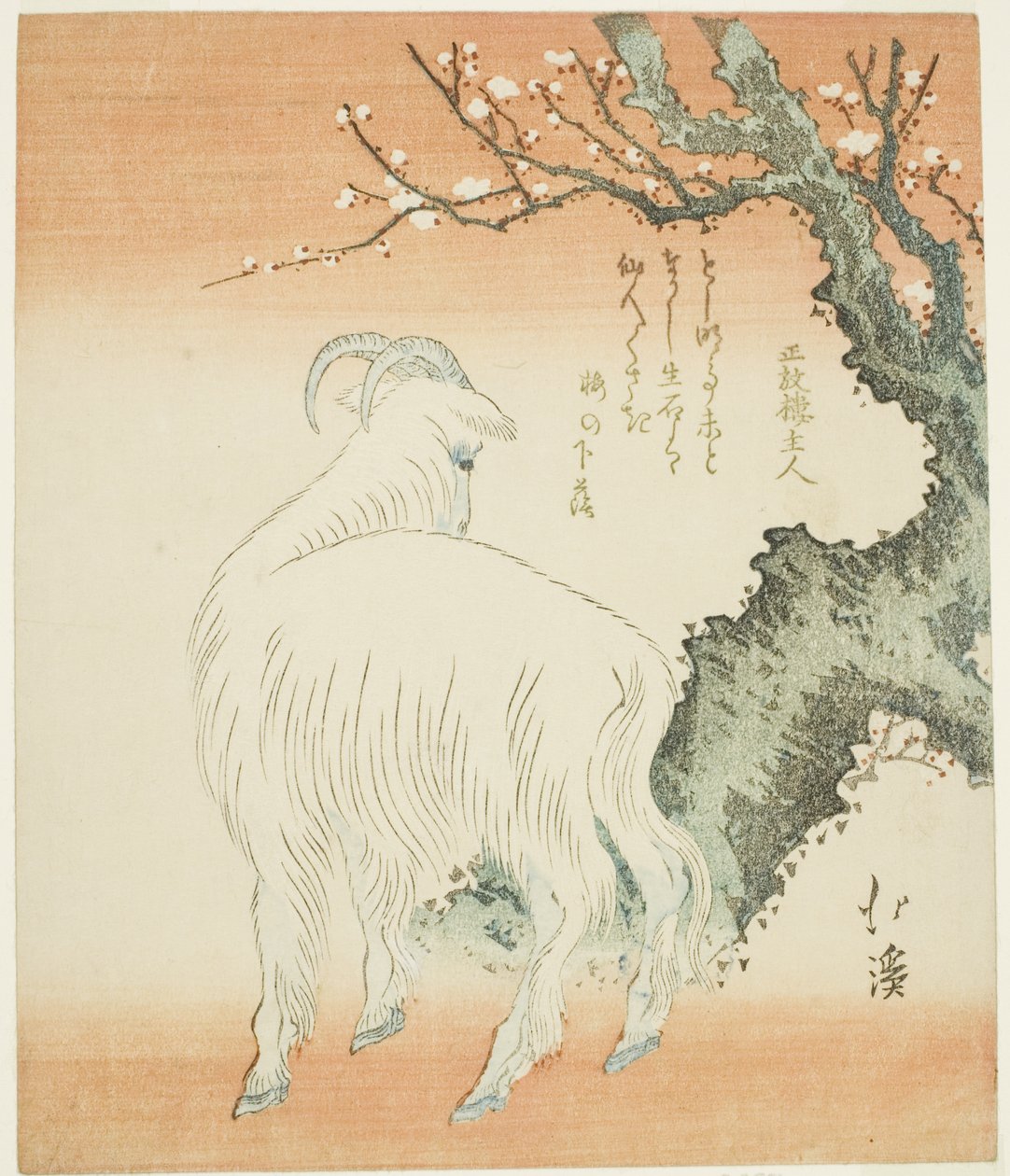 Ged under et blommetræ af Totoya Hokkei