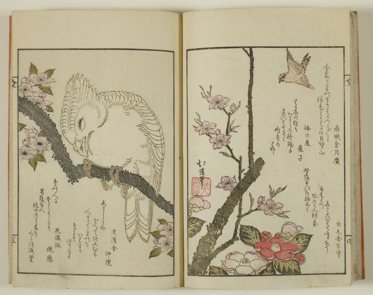 Kyoka hyakucho Kocho af Totoya Hokkei