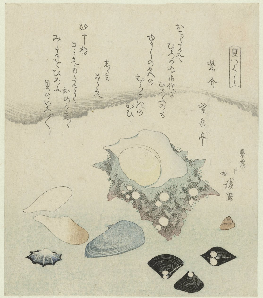 Lilla skal, ferskvandsmuslinger og en turbanskal Murasakigai shijimi sazae (titel på objekt) En serie af skaller (serietitel) Kaitsukushi (serietitel på objekt) af Totoya Hokkei